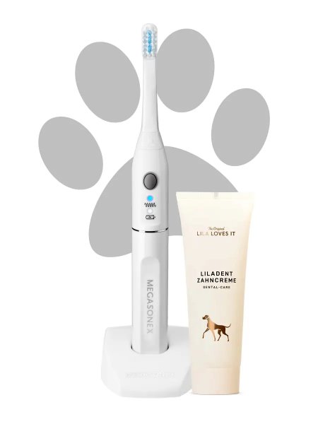 MEGASONEX M8 Zahnbürste Hund + Zahnpasta Set