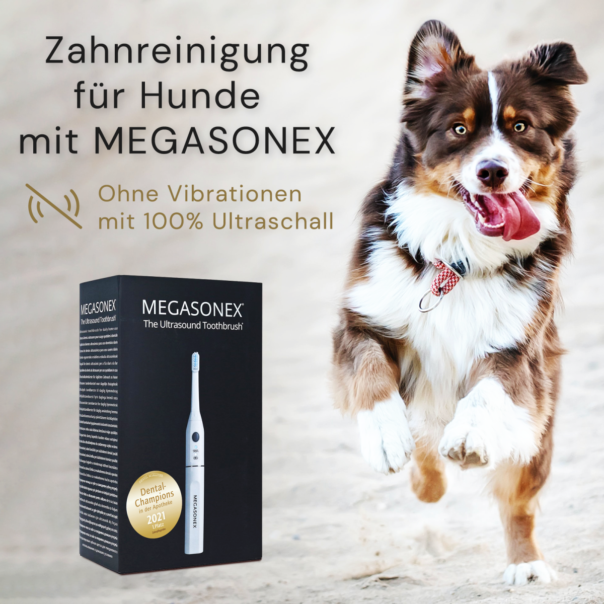 Megasonex Ultraschallzahnbrste fr Ihren Hund | Megasonex M8