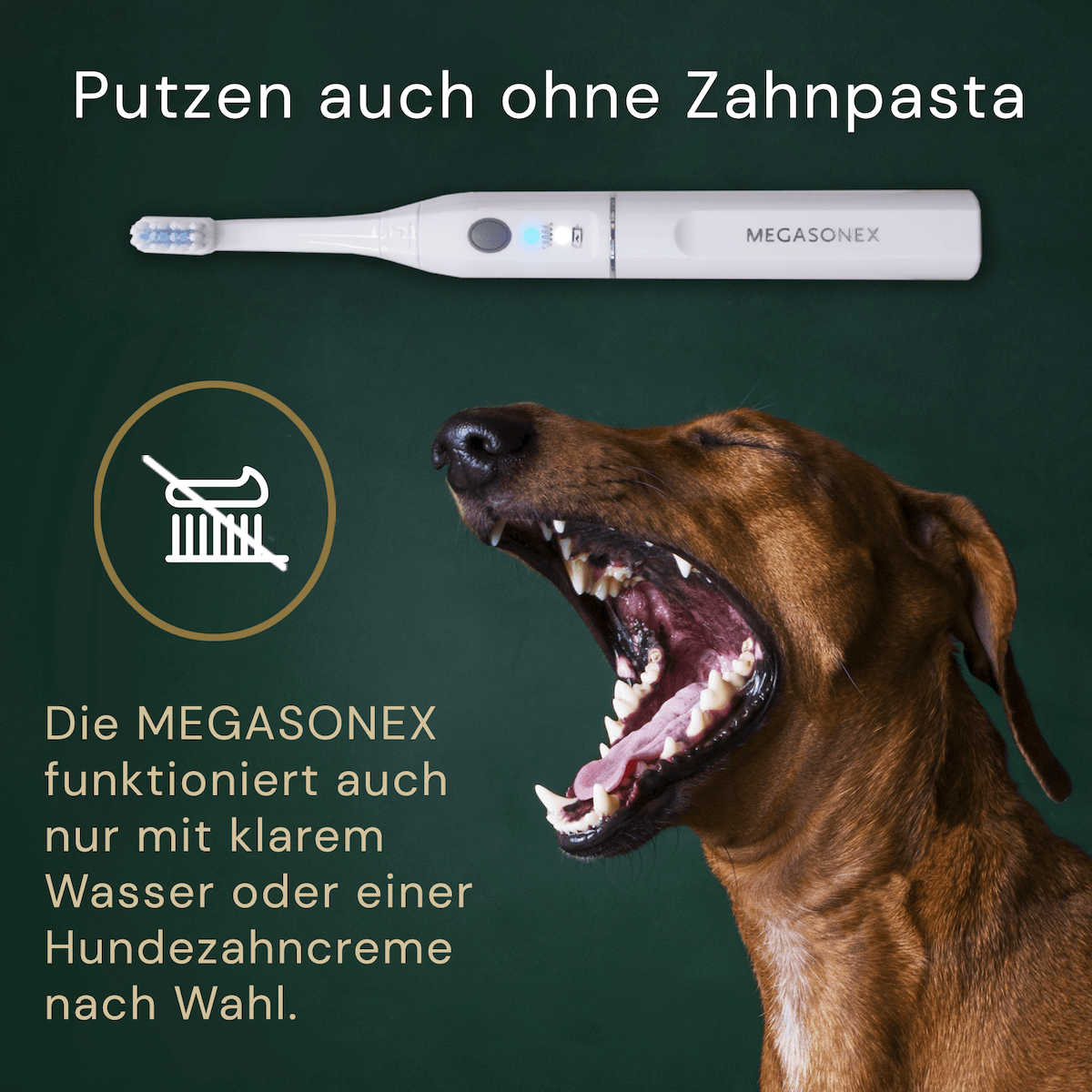 Megasonex M8 Ultraschall-Zahnbürste Set – Mit Ladestation, 2 Bürstenköpfen & Reiseetui