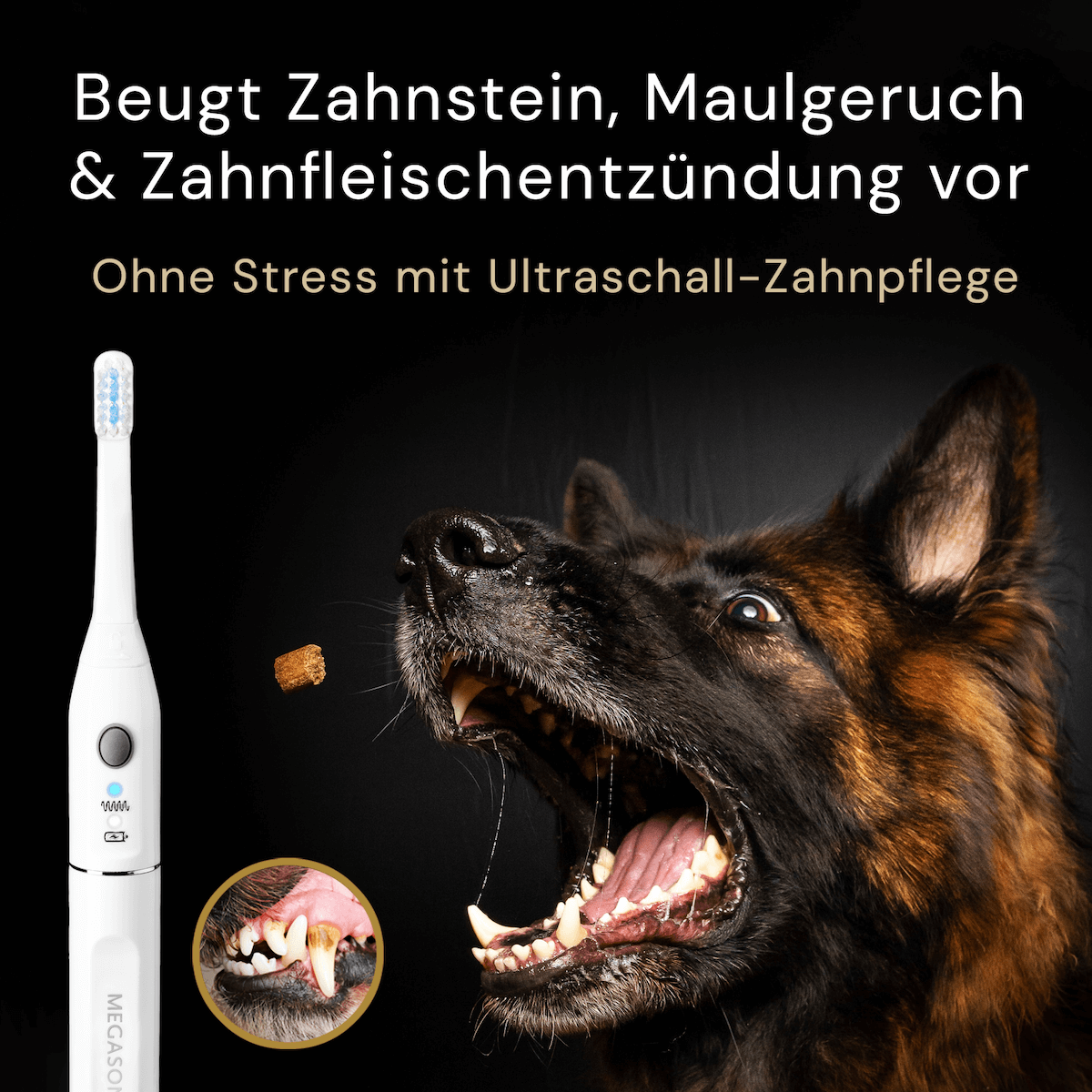 Megasonex Ultraschallzahnbrste fr Ihren Hund | Megasonex M8